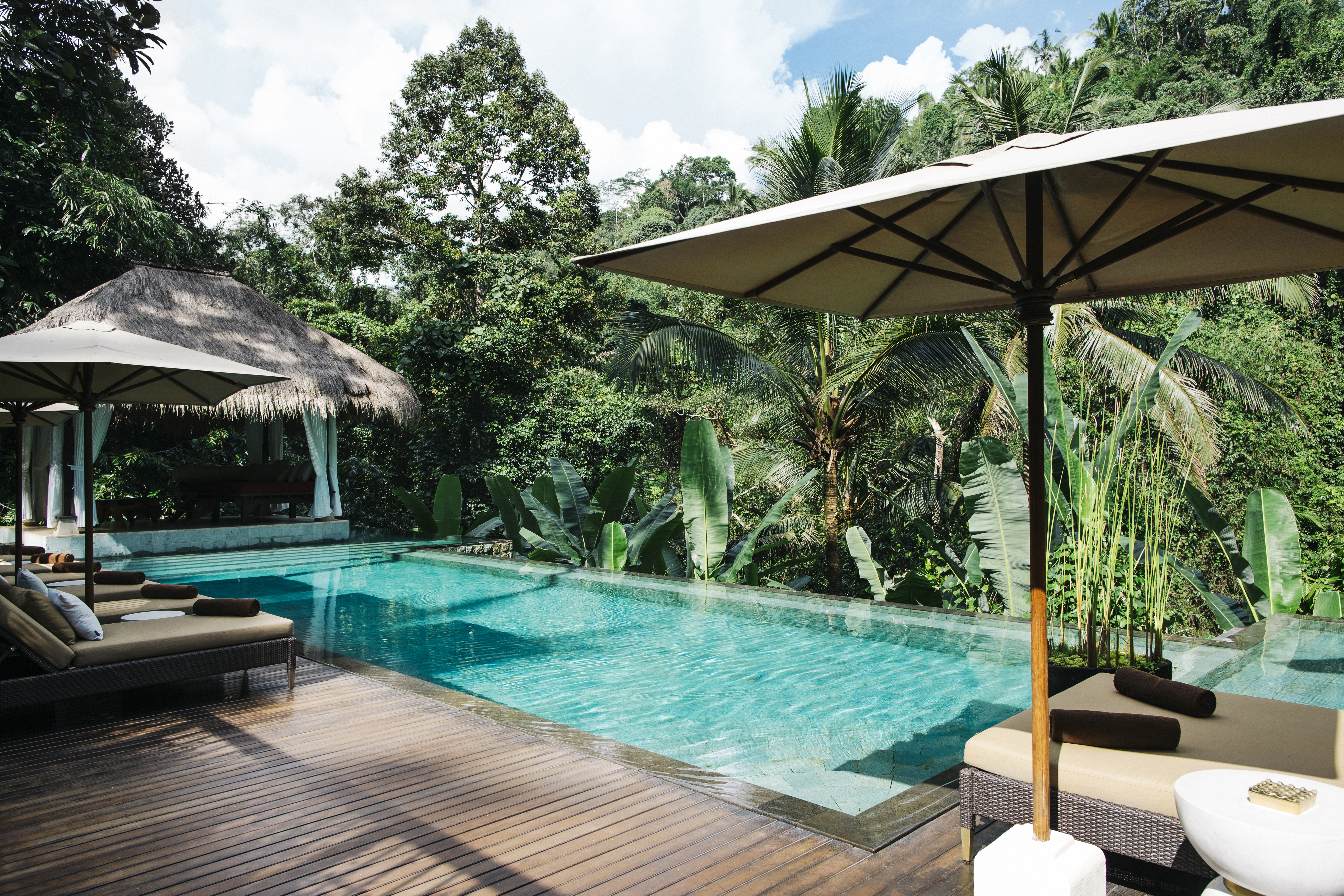 Indonesia, Bali, tropical swimming pool